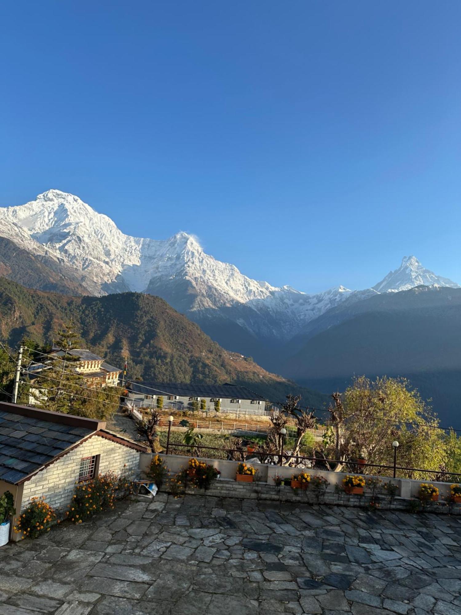Hill Top Lodge Ghandruk Astam Extérieur photo